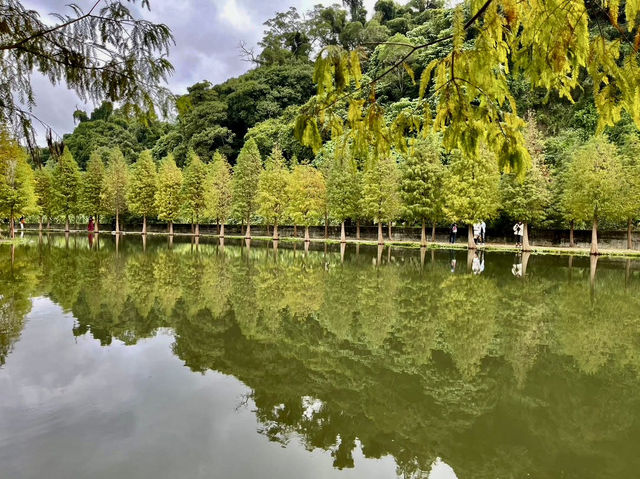 月眉人工濕地生態公園ㄧ日浪漫遊