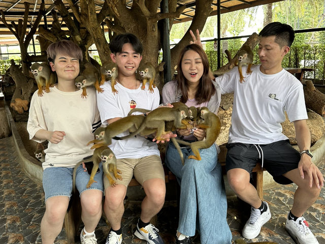 🦁 華勒比野生動物園 – 近距離接觸澳洲野生動物！ 🇦🇺✨ 