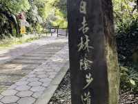 百吉步道散策及在Tina廚房～大溪店享用有機養生料理