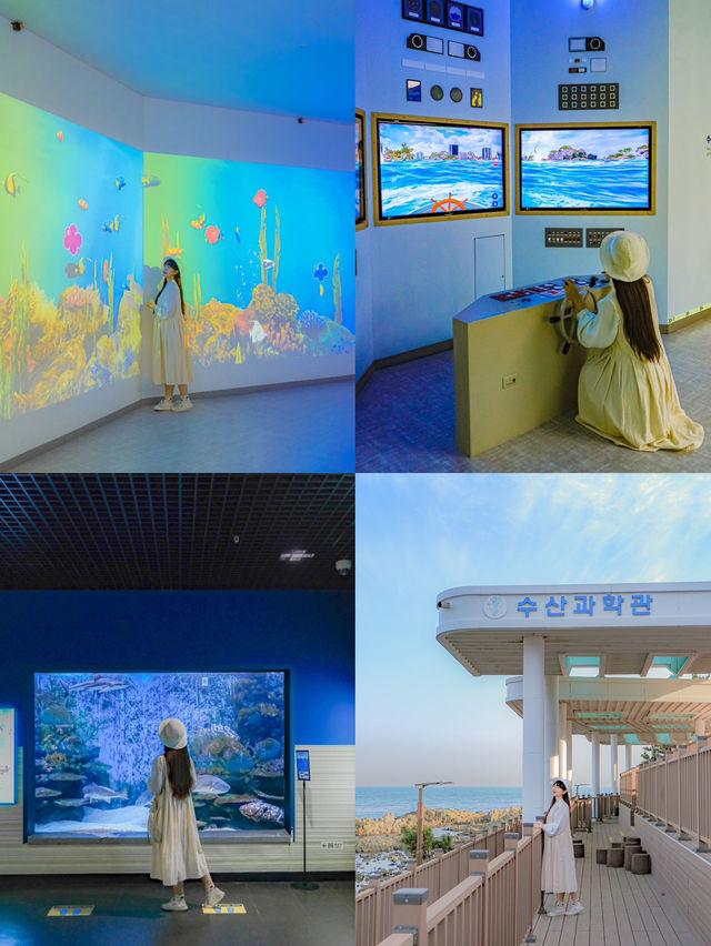 1박 2일 나들이 가기 좋은 부산 바다 여행코스💙