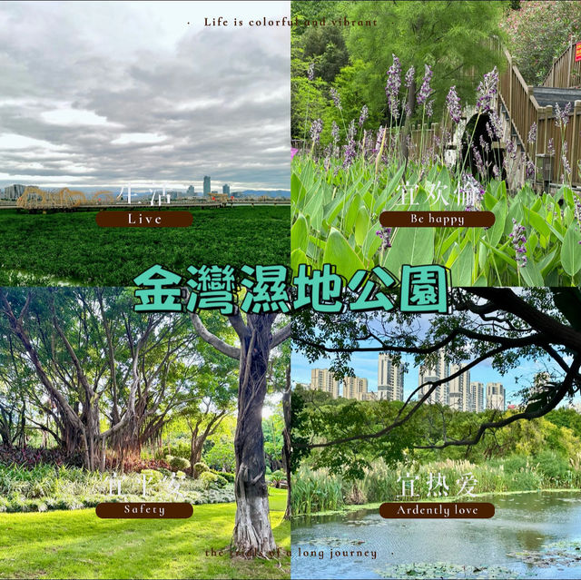 金灣濕地公園～自然的秘境