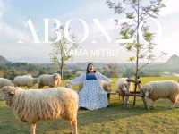 คาเฟ่เชียงราย มีแกะ น่ารัก ABONZO 