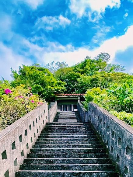 🌸 **沖繩 Sukubu Park 櫻花觀賞遊覽分享** 🌸