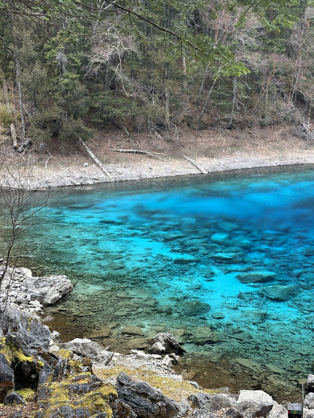 Enchanting Beauty of Jiuzhai Valley:where nature meets tranquility 