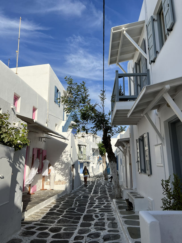 Spring in Mykonos: A Floral Wonderland