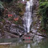 【肇庆周末遊】鼎湖山春日攻略🌸  