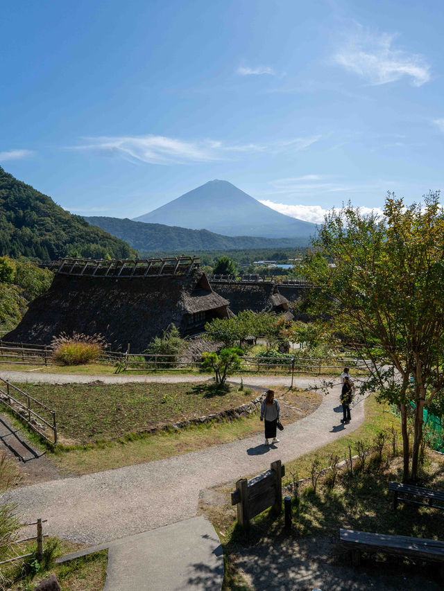 西湖いやしの里根場 🏯🍃 昔ながらの茅葺き屋根の風景に癒される