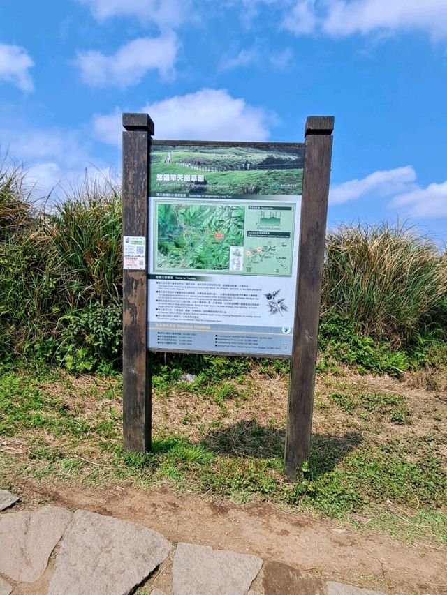 造訪擎天崗