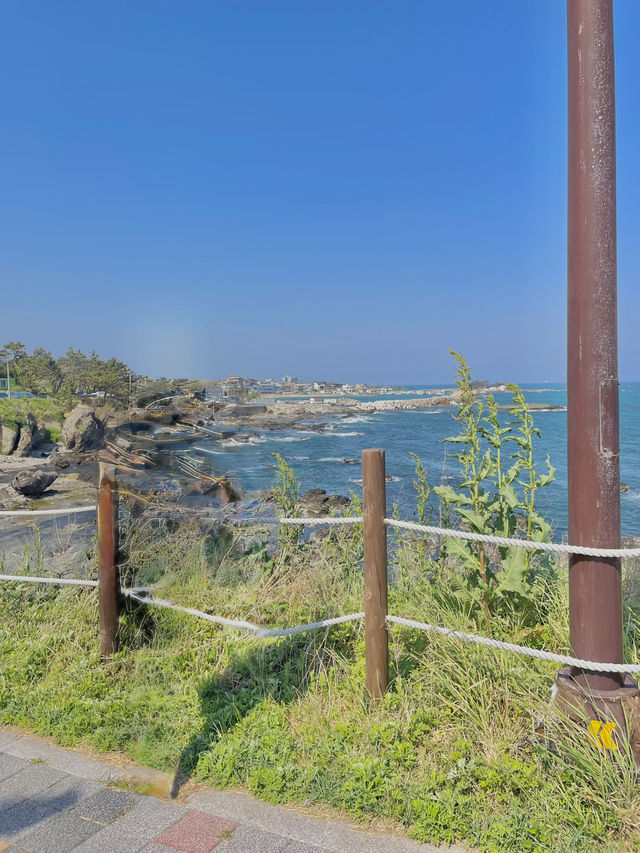 낭만 최고, 포항 바다 여행🦋🌊