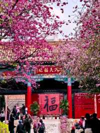 Yuantong Mountain: A Springtime Dream in Bloom