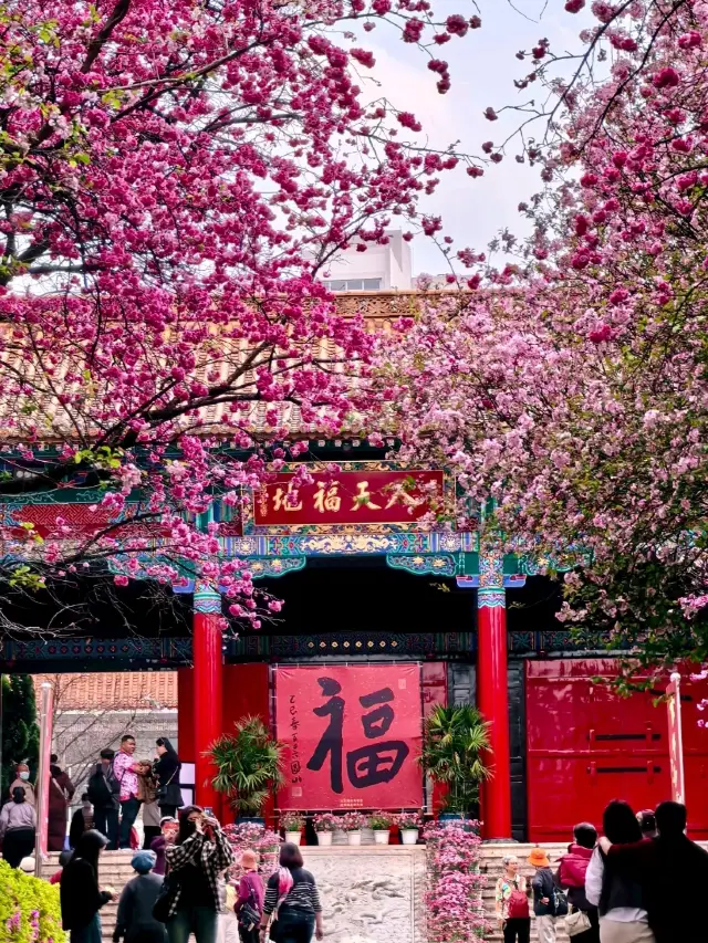 Yuantong Mountain: A Springtime Dream in Bloom