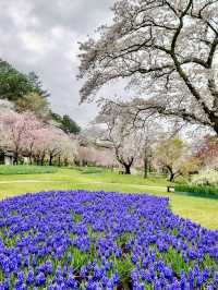 Spring Getaway: Hamamatsu Flower Park