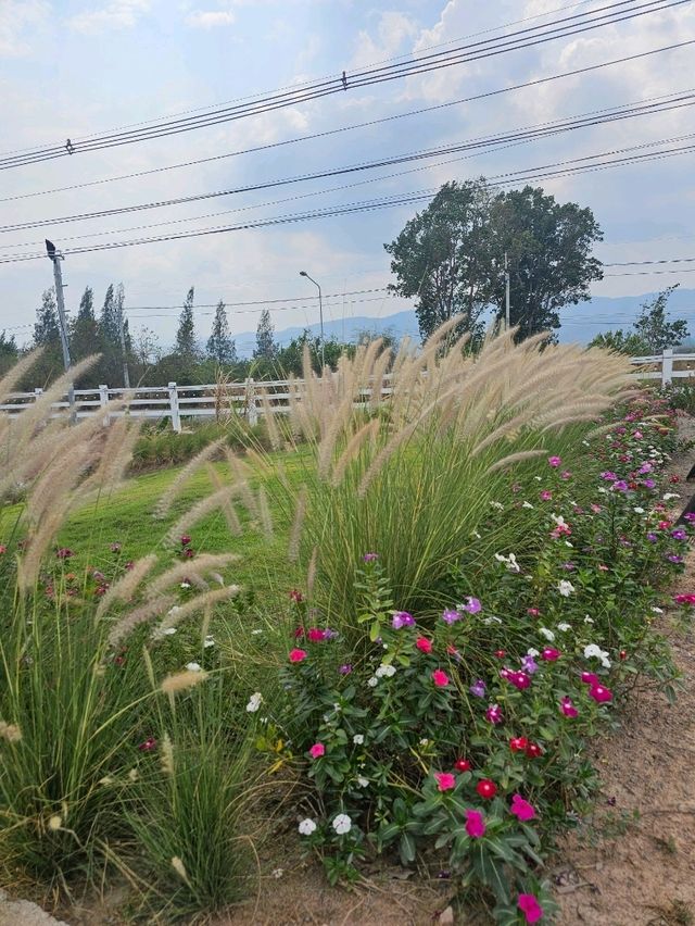 ครัวฉันทนา | ราชบุรี