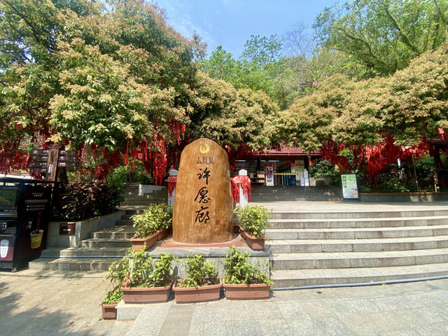 感受大自然的魅力⛰️✨鳳凰山森林公園🧗 
