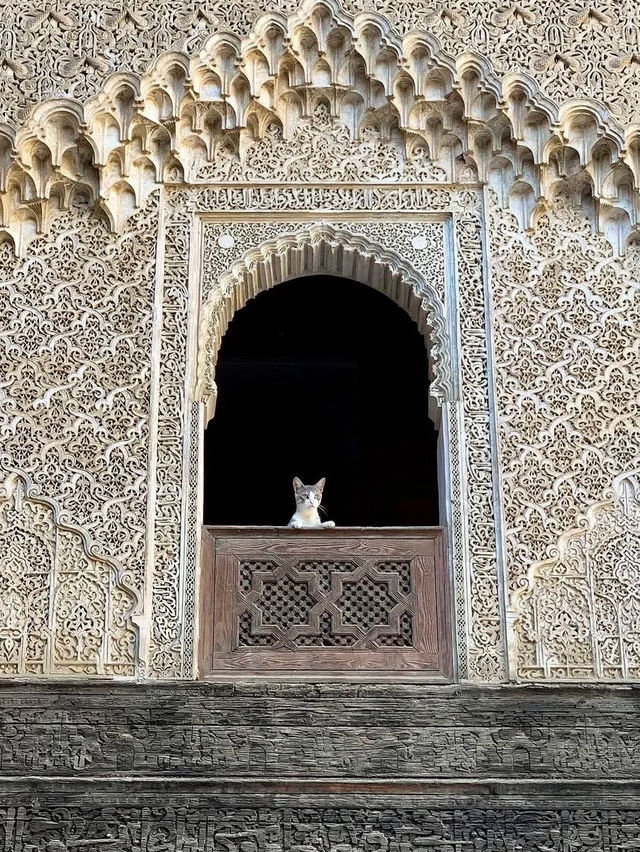 🇲🇦모로코, 꿈결 같은 시간 여행