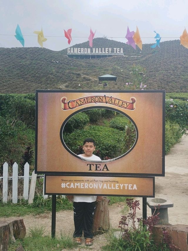 great cameron valley tea