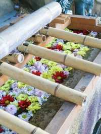 【絶景神社】目の前はすぐ海の開運神社がオススメ！