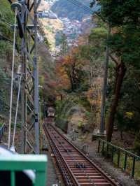 ついに頂上到達！神奈川・大山からの絶景パノラマ✨🏔️