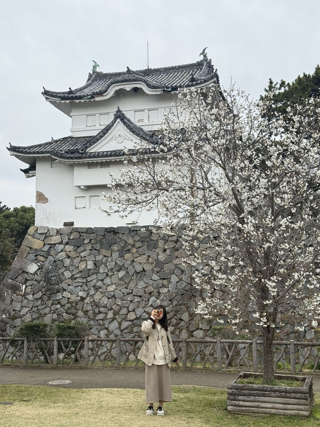 벚꽃과 맛집으로 꽉 채운 나고야 1박 2일 여행🌸🍽️