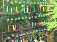 ユニークで癒される♪かえる寺参拝
