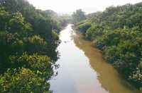 An Endless Number of Fish Ponds in Yuen Long 