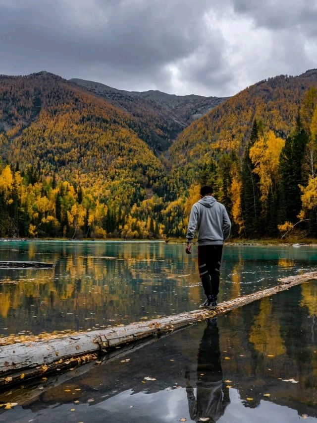 Golden Altay: Where Forests Flame and Skies Shine