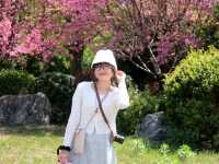 9D8N in China to discover the beauty of cities to mountains