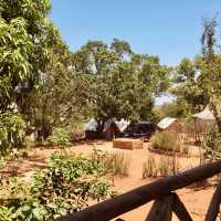 探險後的悠閒時光｜Camp Manambolo 