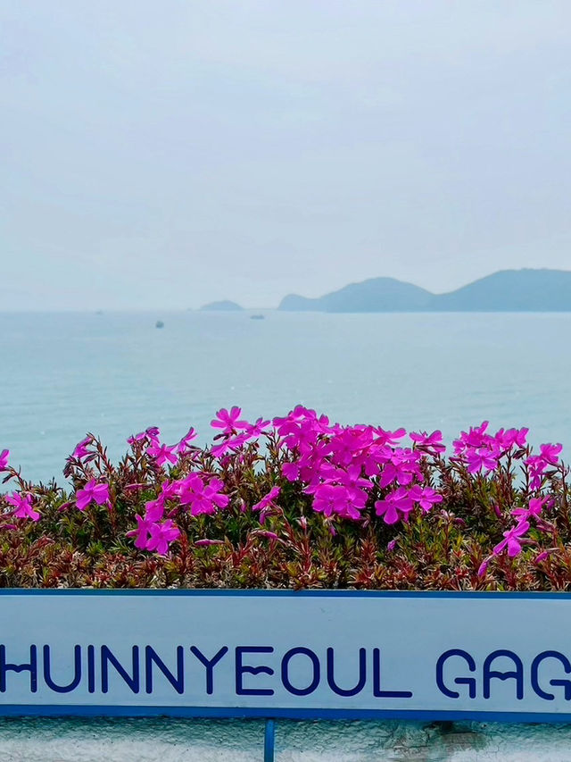 白淺灘文化村-隱藏版秘境📷