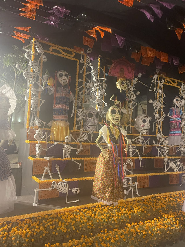 リメンバーミーの世界　死者の祭　オアハカ🇲🇽