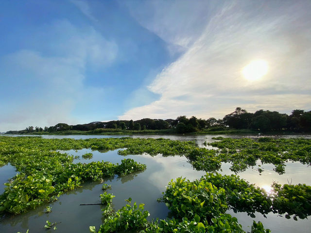 【タイ アユタヤ】極上のウェルネスリゾート Thann wellness Destination