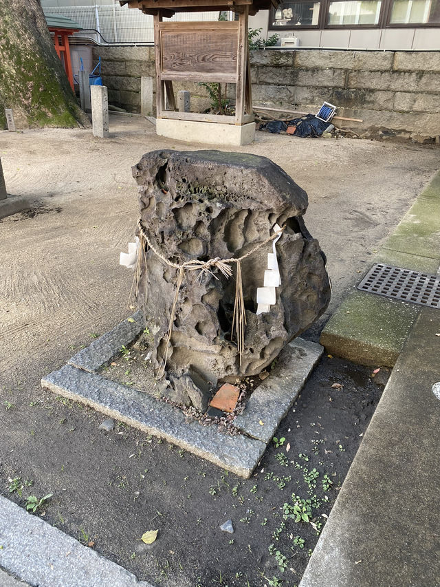 【福岡県博多🇯🇵若宮神社】海上安全、土地の守り神☺️