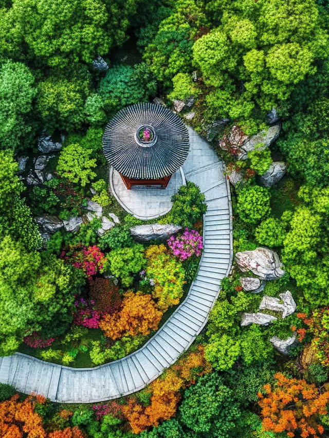 A Hidden Ghibli-Style Wonderland near Guangzhou! Bring the Kids Along!
