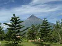 mayon 🇵🇭
