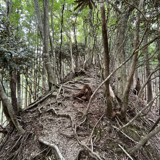 🌲【木梶山】⛰️ まつさかイレブン