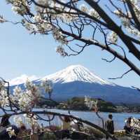 富士山（山梨県／静岡県）