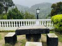Gardens That Soothe the Soul