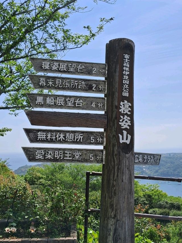 【伊豆下田】ロープウェイで行ける絶景展望台