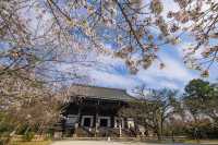 🌸 Shinnyo-do Temple: Kyoto’s Best-Kept Secret for Golden Hour Sakura 🌸