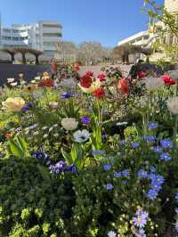 🌳 The Getty Garden, 예술과 자연의 조화!
