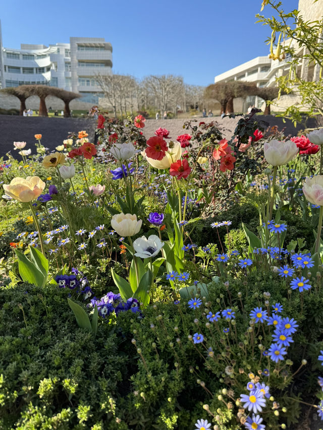 🌳 The Getty Garden, 예술과 자연의 조화!