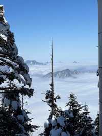 Xiling is on the Top