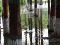 Haidong Wetland Park 
