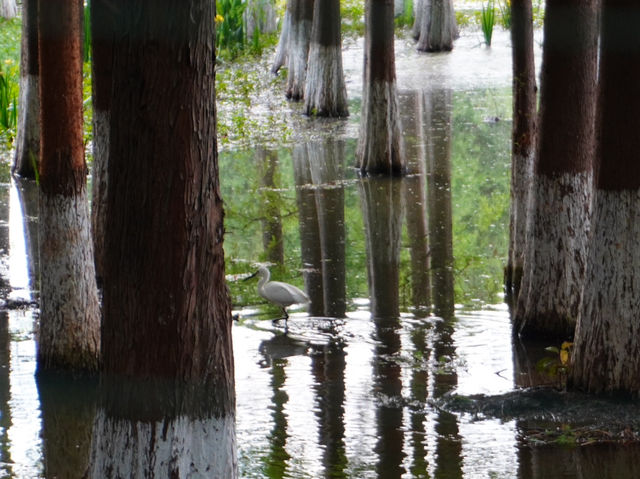 Haidong Wetland Park 