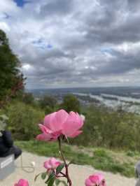 Altstadt: Where Germany’s Past Lives On