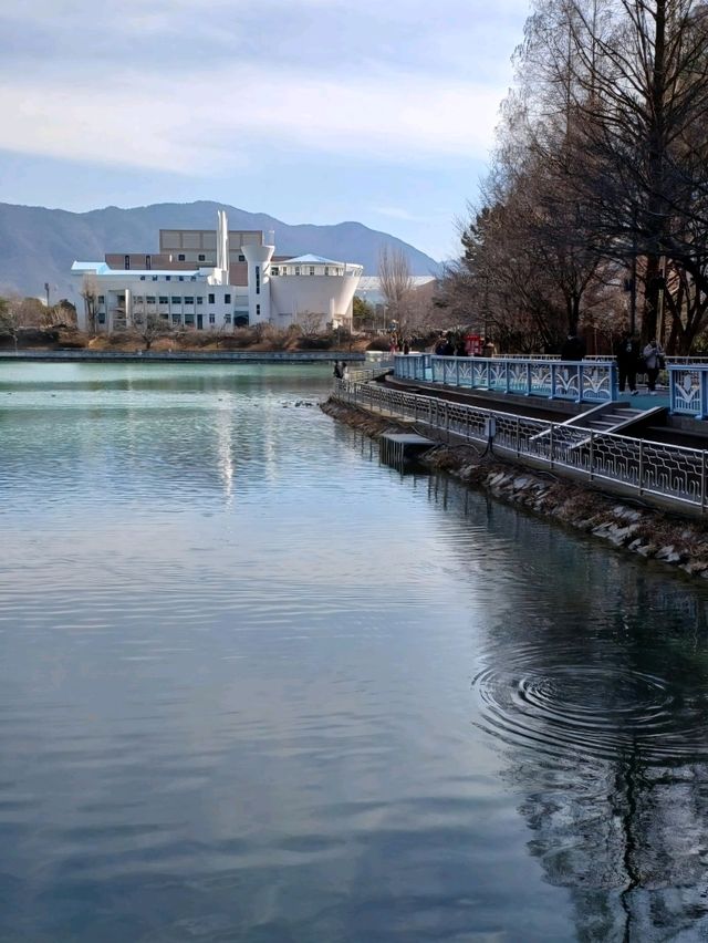 마음까지 조용해지는 호수 산책길