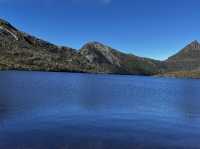 Family friendly Enchanted Walk and Wombats sightings 