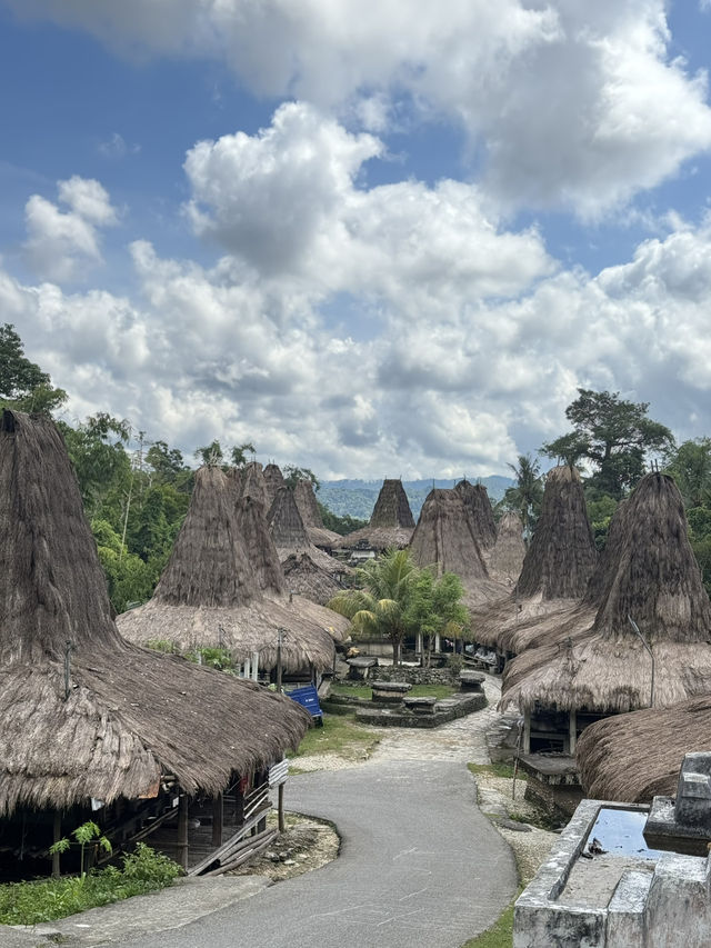 Amazing Sumba