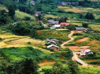 Fanxipang