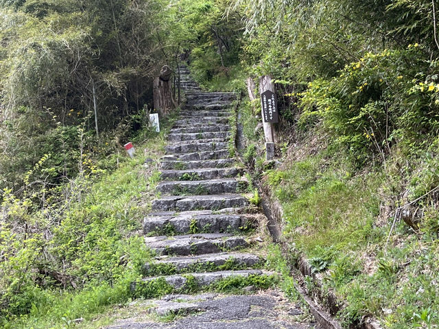 【寝覚の床】木曽川の流れで花崗岩が深く削られた景勝地